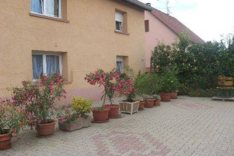 Location de vacances - Gîte à Wickerschwihr