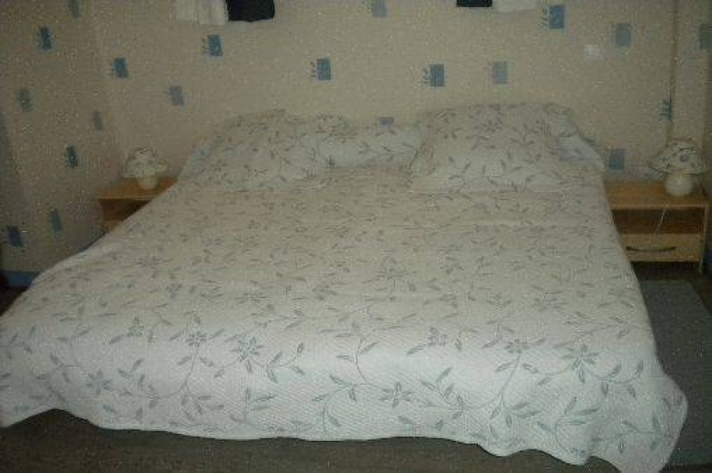 Location de vacances - Gîte à Chinon