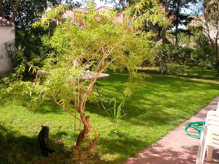 Location de vacances - Maison - Villa à Alénya