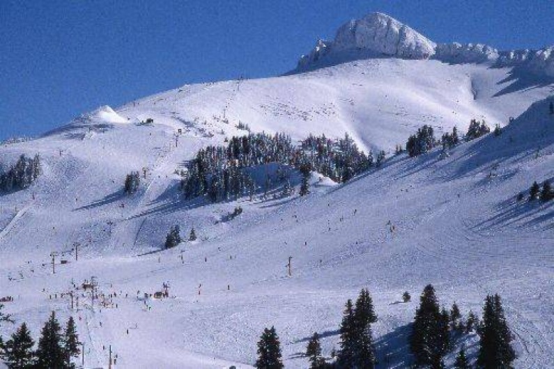 Location de vacances - Gîte à Thollon-les-Mémises