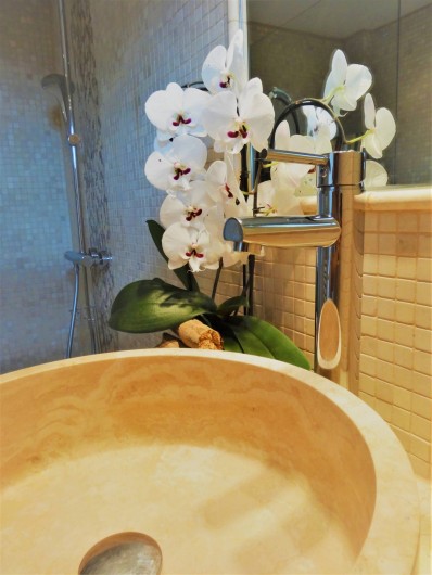 Location de vacances - Villa à Les Issambres