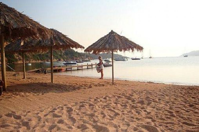 Location de vacances - Chalet à Bonifacio