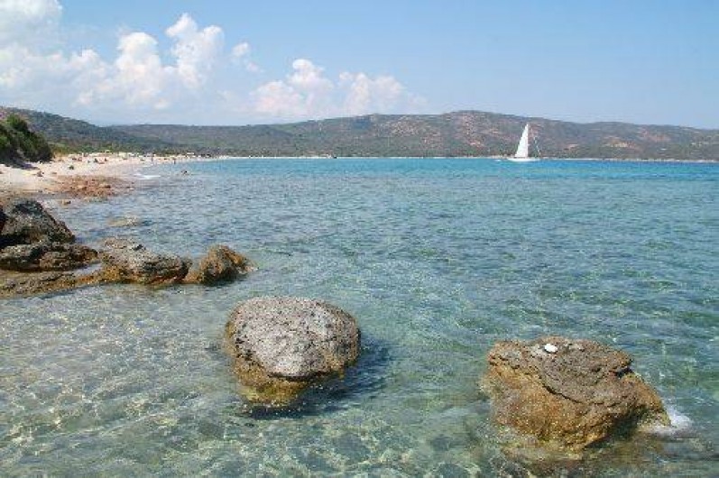 Location de vacances - Chalet à Bonifacio