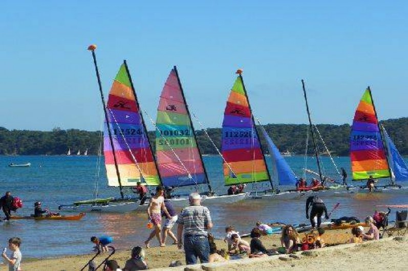 Location de vacances - Appartement à Hyères