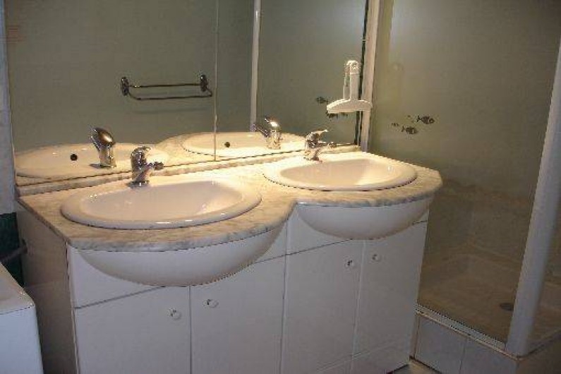 Location de vacances - Gîte à Segonzac - Gites" colombard" Salle d'eau avec douche et 2 vasques+ lave linge