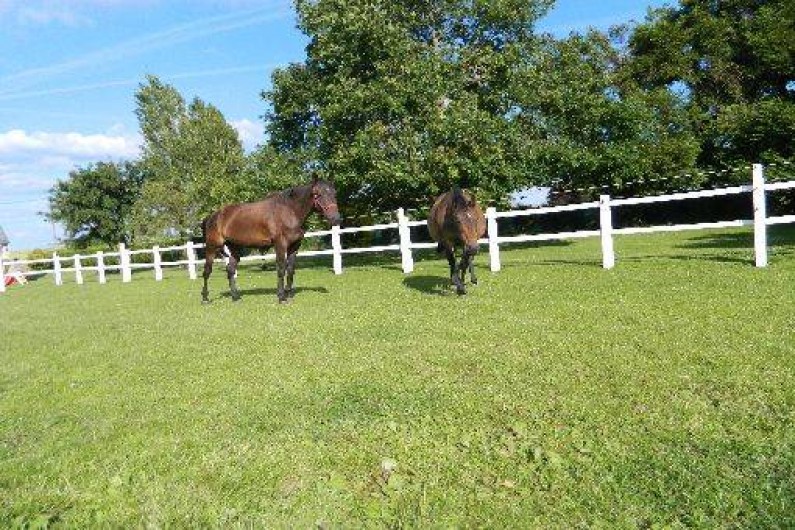 Location de vacances - Chambre d'hôtes à Trégomeur