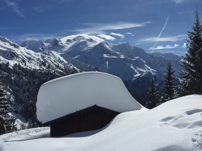 Location de vacances - Chalet à Servoz