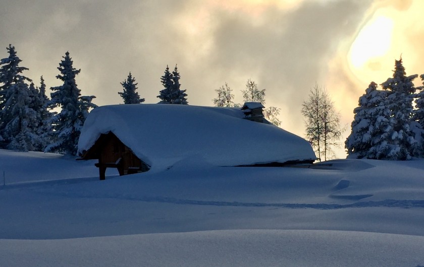 Location de vacances - Chalet à Servoz