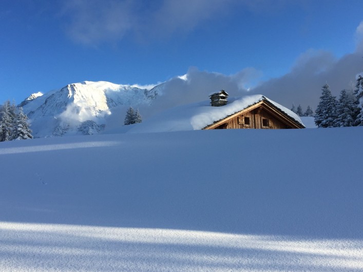 Location de vacances - Chalet à Servoz