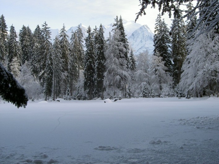 Location de vacances - Chalet à Servoz