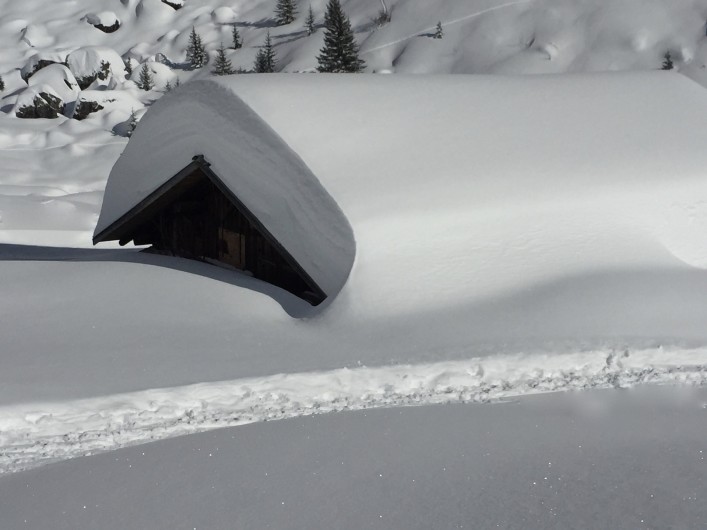 Location de vacances - Chalet à Servoz