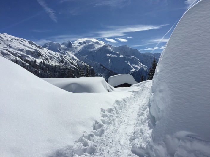 Location de vacances - Chalet à Servoz
