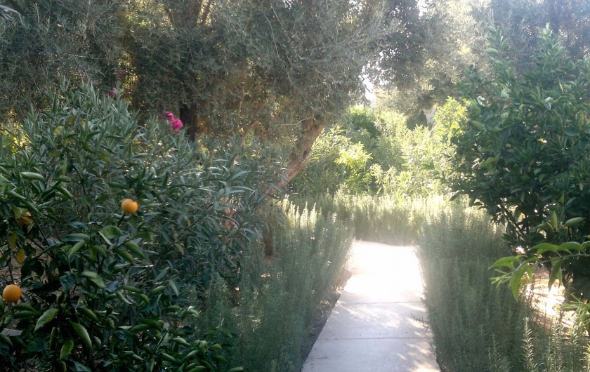 Location de vacances - Gîte à Taroudant