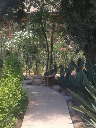 Location de vacances - Gîte à Taroudant