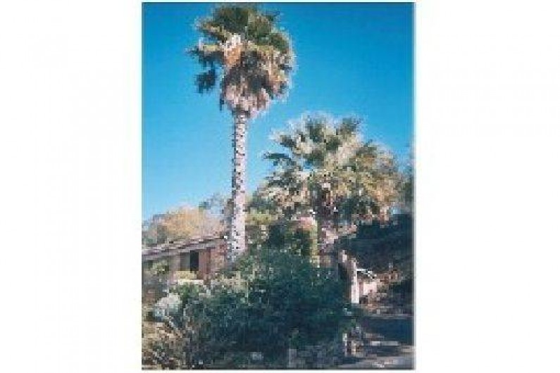 Location de vacances - Studio à Les Issambres