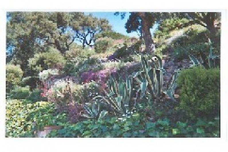 Location de vacances - Studio à Les Issambres