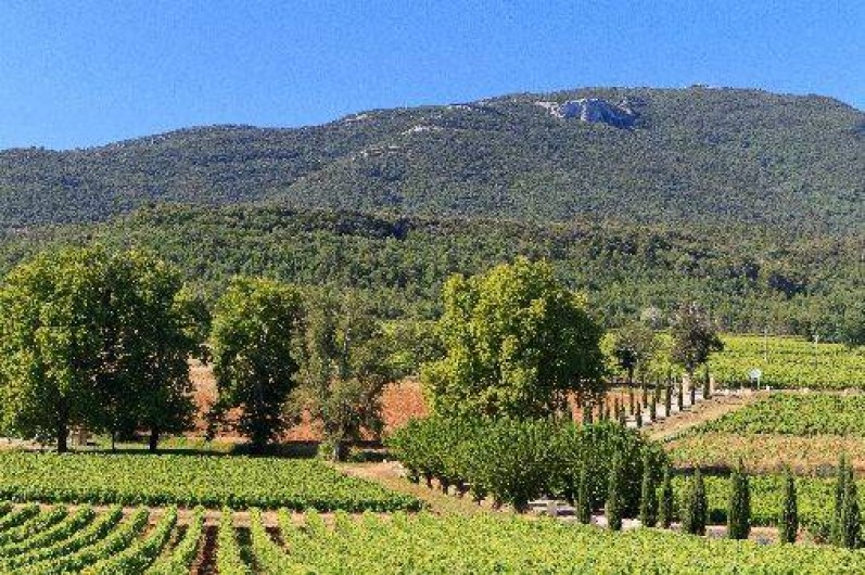 Location de vacances - Appartement à Pontevès