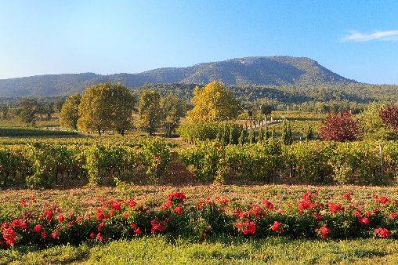 Location de vacances - Appartement à Pontevès