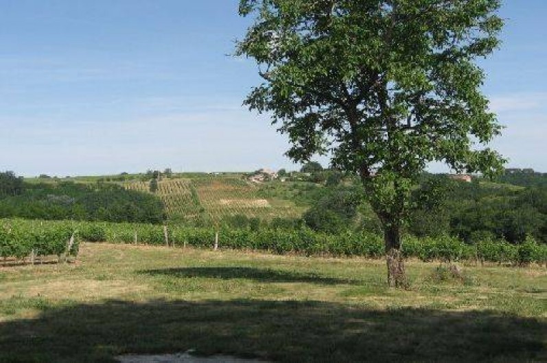 Location de vacances - Gîte à Gabarnac