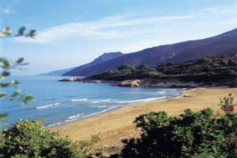 Location de vacances - Maison - Villa à Farinole