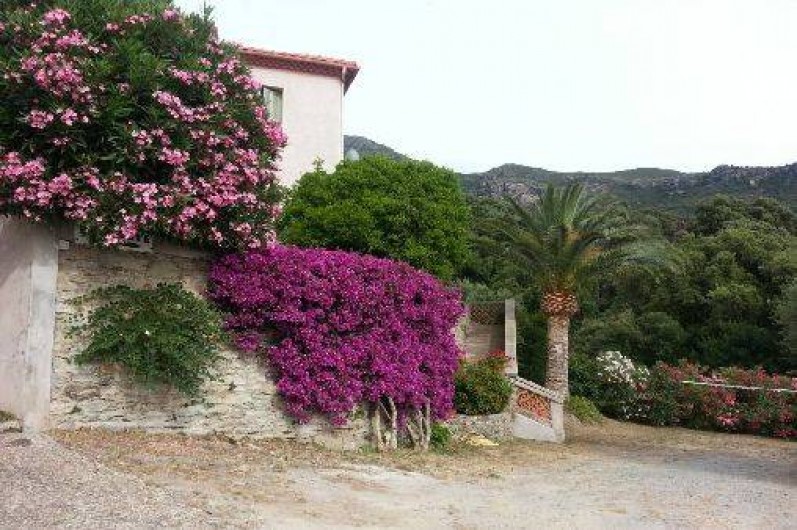 Location de vacances - Maison - Villa à Farinole