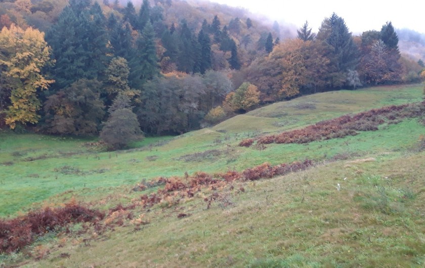 Location de vacances - Chalet à Saint-Sylvestre - Buttes et forêt de sapins à côté des gîtes.