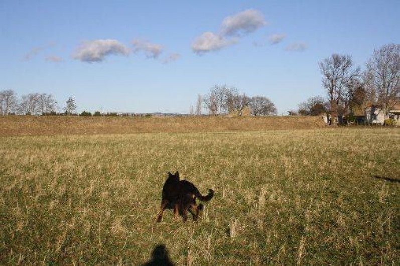 Location de vacances - Mas à Moulès