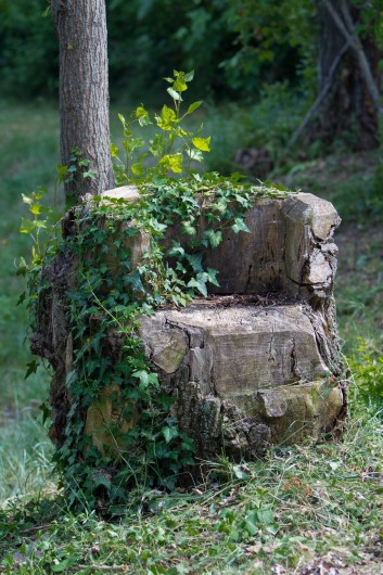 Location de vacances - Camping à Lussas