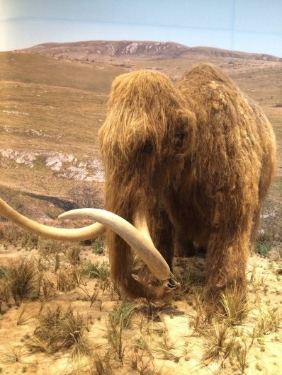 Location de vacances - Camping à Lussas