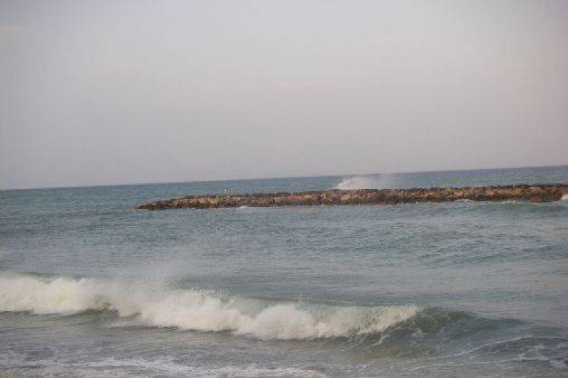 Location de vacances - Appartement à Le Barcarès