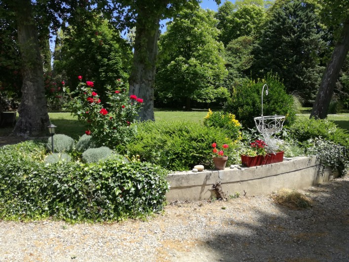 Location de vacances - Mas à Loupia - Le parc au printemps