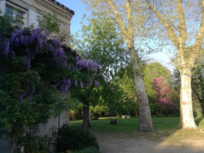 Location de vacances - Mas à Loupia - Le parc