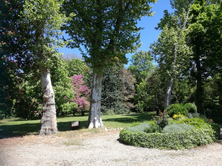 Location de vacances - Mas à Loupia - Le parc