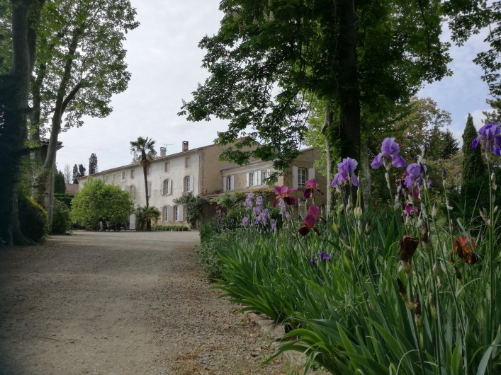 Location de vacances - Mas à Loupia - L'entrée du domaine