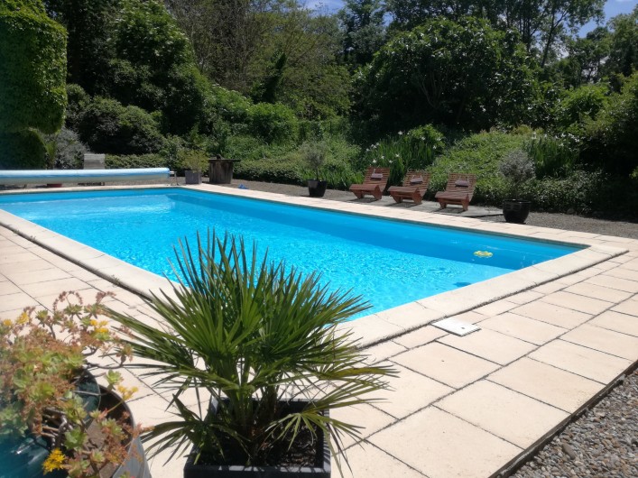 Location de vacances - Mas à Loupia - La piscine