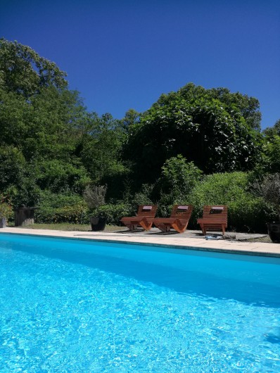 Location de vacances - Mas à Loupia - La piscine
