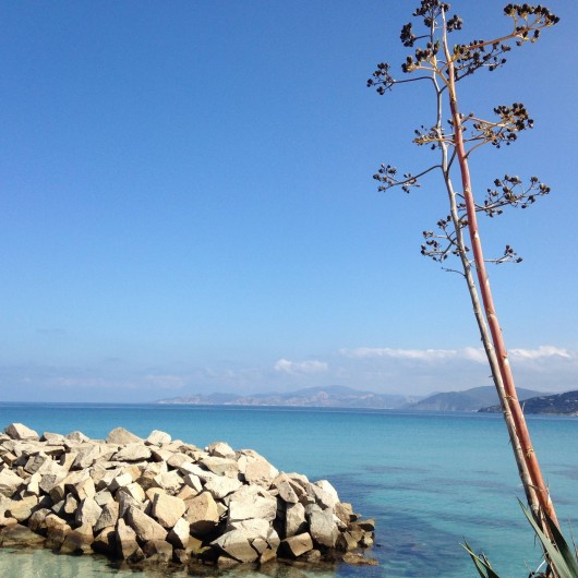 Location de vacances - Appartement à L'Île-Rousse - et grande plage de sable à proximité immédiate!
