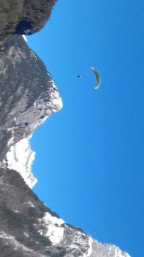 Location de vacances - Appartement à Samoëns - Vue à skis