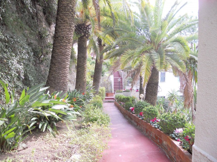 Location de vacances - Appartement à Ospedaletti - jardin de la maison