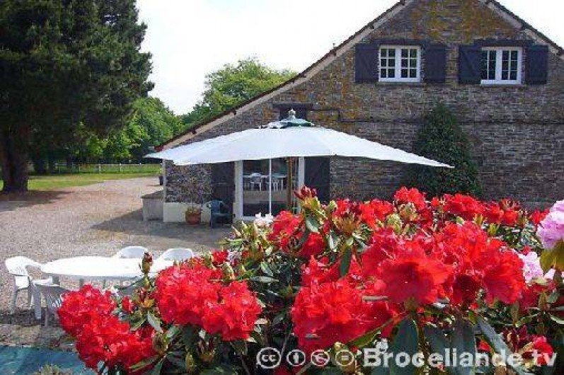 Location de vacances - Gîte à Iffendic
