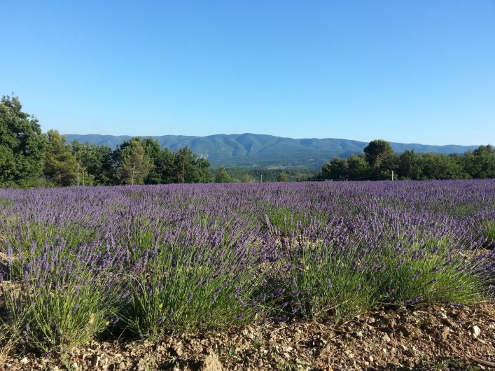 Location de vacances - Gîte à Caseneuve
