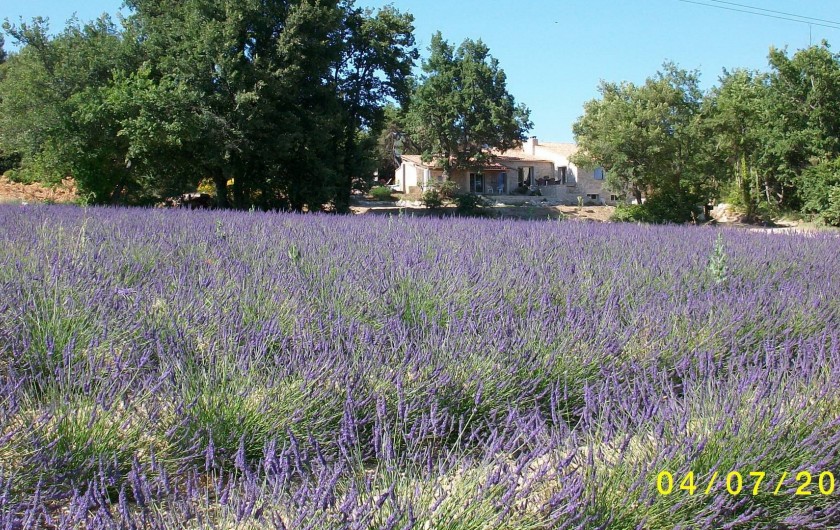 Location de vacances - Gîte à Caseneuve