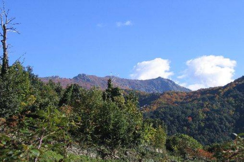 Location de vacances - Studio à Cambia