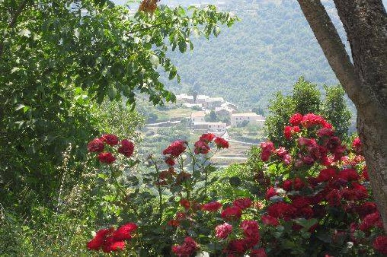 Location de vacances - Studio à Cambia