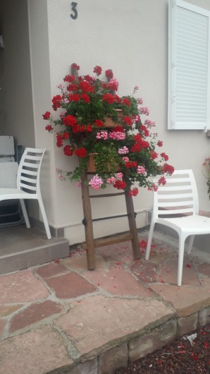Location de vacances - Chambre d'hôtes à Eguisheim - Extérieur fleuri