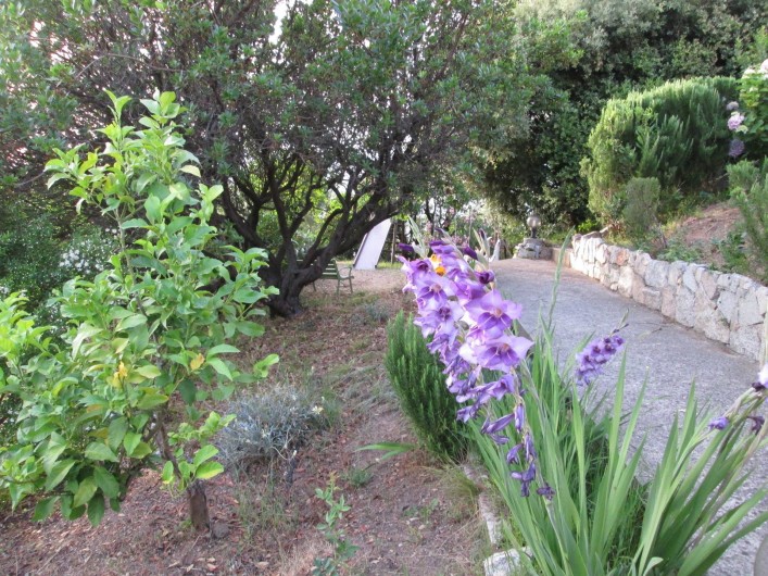 Location de vacances - Appartement à Propriano