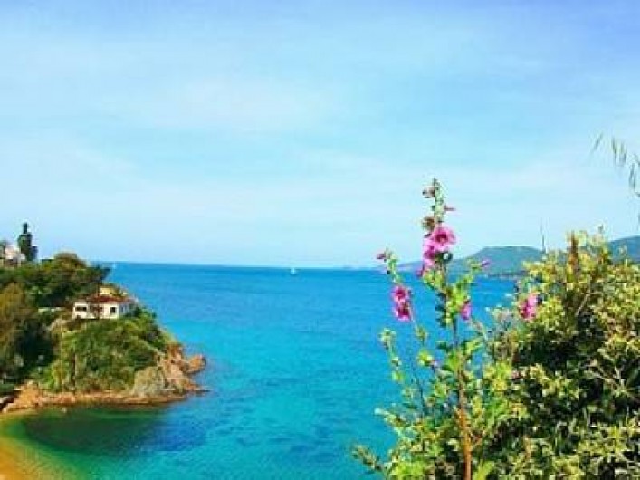 Location de vacances - Appartement à Propriano