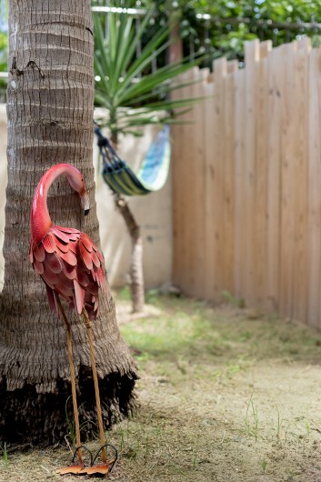 Location de vacances - Maison - Villa à Saint-Martin