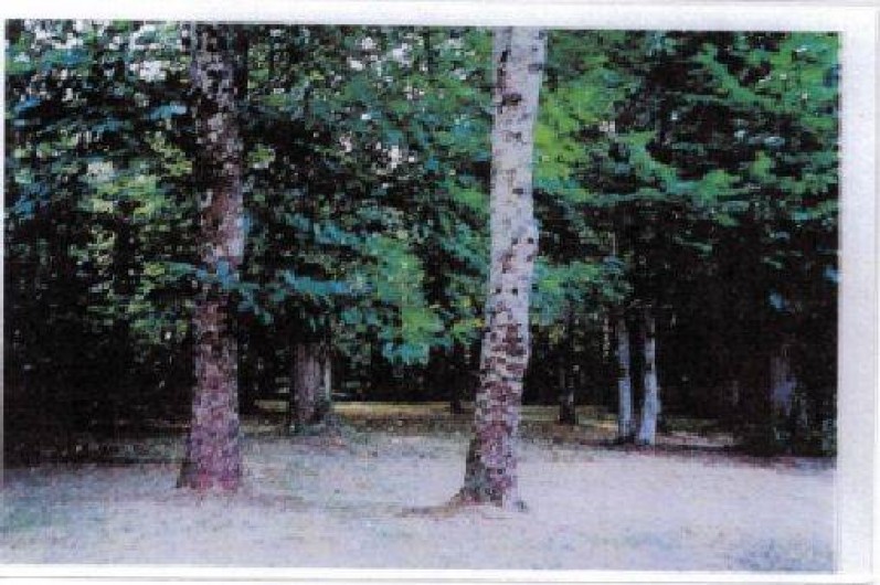 Location de vacances - Maison - Villa à Nadaillac-de-Rouge