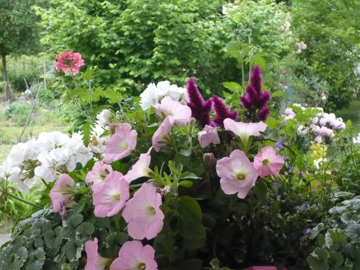 Location de vacances - Appartement à Lingolsheim